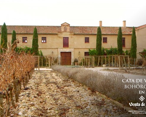 Vinos de Toledo