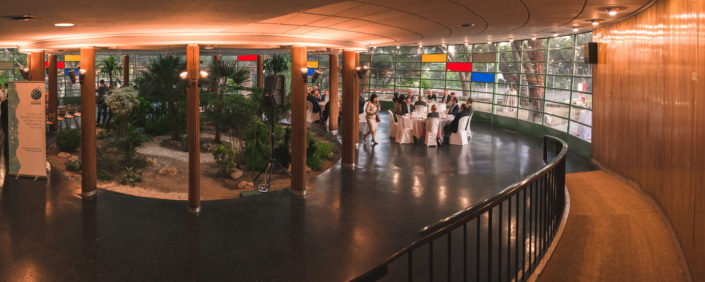 Cena en el salón del Instituto Eduardo Torroja organizada por el CSIC