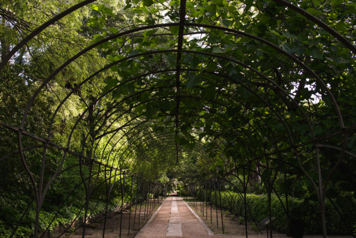 Jardines del Catering en el Jardín Botánico