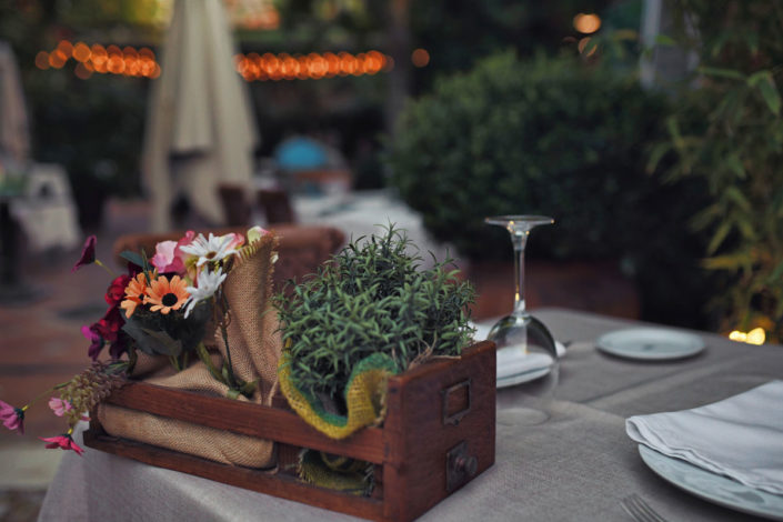 flores_venta_de_aires_terraza
